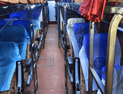 palslnt gallery images